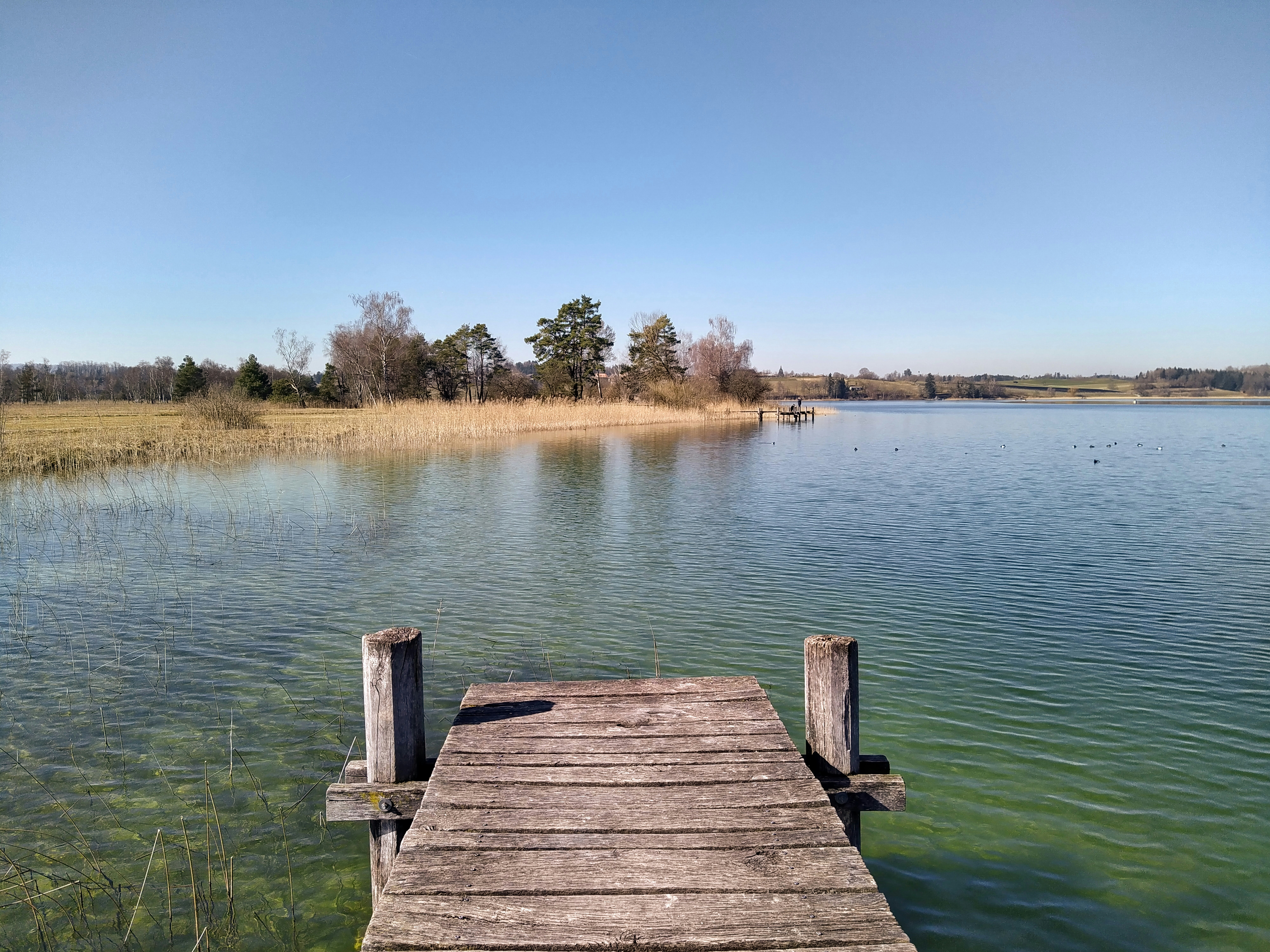 Entregar agua a EE.UU. causaría hambre en frontera mexicana
