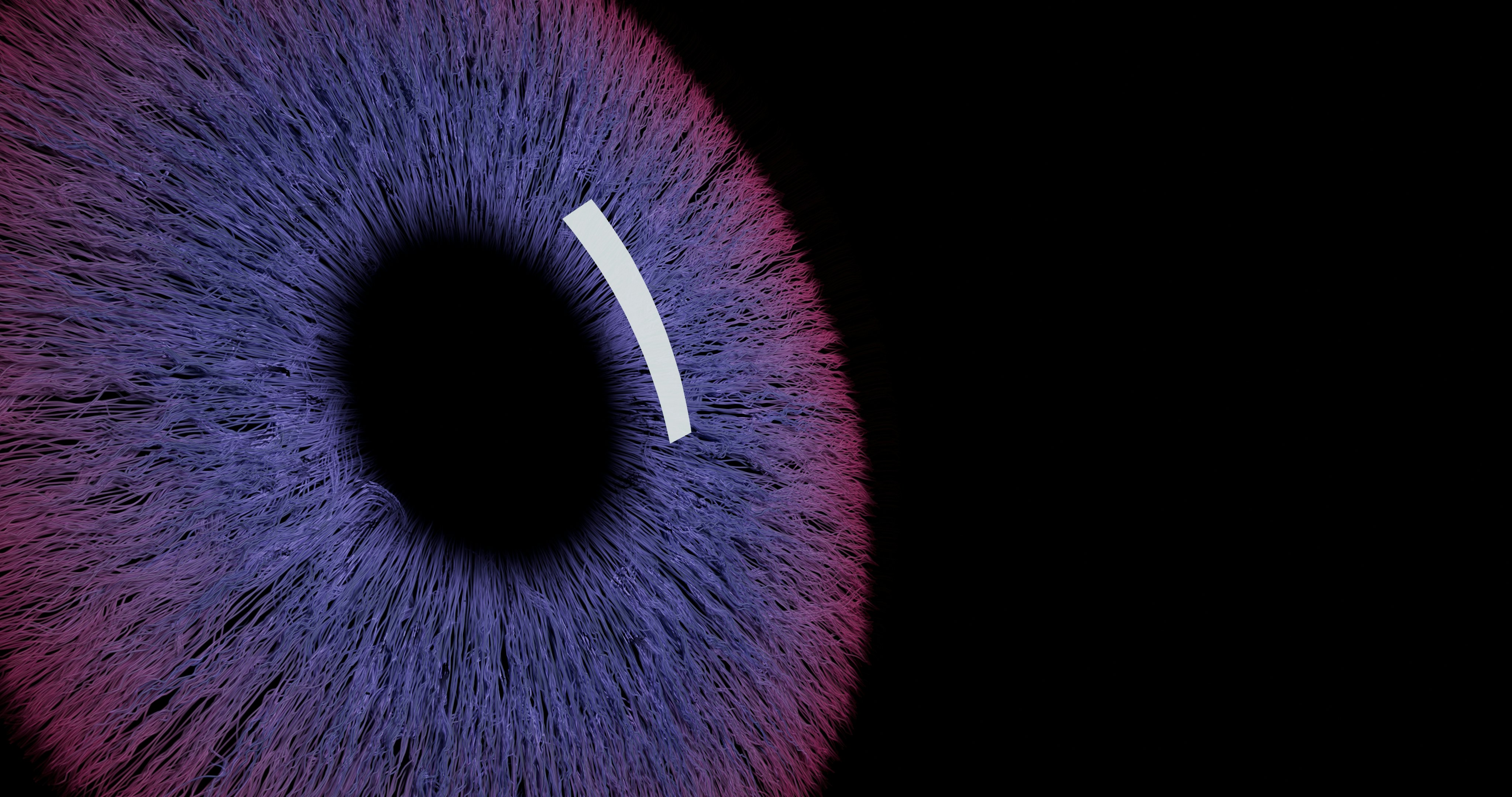 amplia-controles-biometricos-viajeros-extranjeros